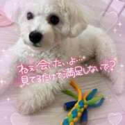 ヒメ日記 2025/08/09 10:28 投稿 小澤ゆな 月の真珠-新宿-