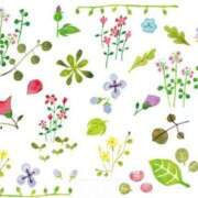 ヒメ日記 2025/08/09 15:48 投稿 小澤ゆな 月の真珠-新宿-