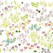 ヒメ日記 2025/08/10 18:28 投稿 小澤ゆな 月の真珠-新宿-