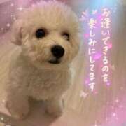 ヒメ日記 2025/08/15 00:18 投稿 小澤ゆな 月の真珠-新宿-