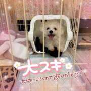 ヒメ日記 2025/08/15 12:58 投稿 小澤ゆな 月の真珠-新宿-