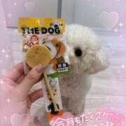 ヒメ日記 2025/08/16 10:28 投稿 小澤ゆな 月の真珠-新宿-