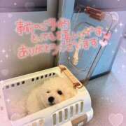 ヒメ日記 2025/08/17 13:18 投稿 小澤ゆな 月の真珠-新宿-