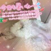 ヒメ日記 2025/08/21 11:49 投稿 小澤ゆな 月の真珠-新宿-