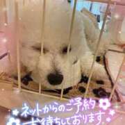 ヒメ日記 2025/08/23 09:41 投稿 小澤ゆな 月の真珠-新宿-