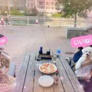 ヒメ日記 2025/08/24 09:19 投稿 小澤ゆな 月の真珠-新宿-