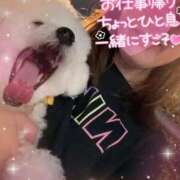 ヒメ日記 2025/08/25 17:08 投稿 小澤ゆな 月の真珠-新宿-