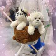 ヒメ日記 2025/08/27 06:38 投稿 小澤ゆな 月の真珠-新宿-