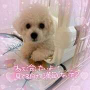 ヒメ日記 2025/08/28 15:38 投稿 小澤ゆな 月の真珠-新宿-