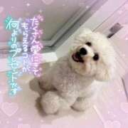 ヒメ日記 2025/08/29 11:18 投稿 小澤ゆな 月の真珠-新宿-