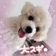 ヒメ日記 2025/08/29 18:08 投稿 小澤ゆな 月の真珠-新宿-