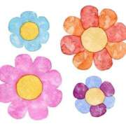 ヒメ日記 2025/09/02 21:18 投稿 小澤ゆな 月の真珠-新宿-