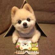 ヒメ日記 2025/09/09 21:08 投稿 小澤ゆな 月の真珠-新宿-