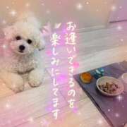 ヒメ日記 2025/09/10 17:08 投稿 小澤ゆな 月の真珠-新宿-