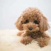 ヒメ日記 2025/09/10 21:20 投稿 小澤ゆな 月の真珠-新宿-