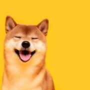 ヒメ日記 2025/09/11 15:38 投稿 小澤ゆな 月の真珠-新宿-