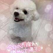 ヒメ日記 2025/09/15 11:39 投稿 小澤ゆな 月の真珠-新宿-