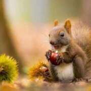 ヒメ日記 2025/09/16 21:58 投稿 小澤ゆな 月の真珠-新宿-