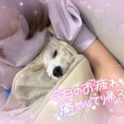 ヒメ日記 2025/09/28 22:28 投稿 小澤ゆな 月の真珠-新宿-