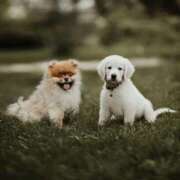 ヒメ日記 2025/09/30 10:00 投稿 小澤ゆな 月の真珠-新宿-