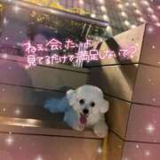 ヒメ日記 2025/09/30 13:28 投稿 小澤ゆな 月の真珠-新宿-