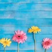 ヒメ日記 2025/09/30 21:49 投稿 小澤ゆな 月の真珠-新宿-