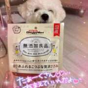 ヒメ日記 2025/10/05 16:38 投稿 小澤ゆな 月の真珠-新宿-