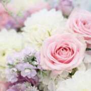 ヒメ日記 2025/10/06 07:08 投稿 小澤ゆな 月の真珠-新宿-