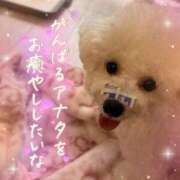 ヒメ日記 2025/10/07 13:28 投稿 小澤ゆな 月の真珠-新宿-