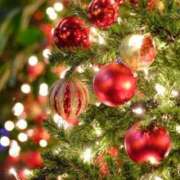 ヒメ日記 2025/11/08 16:08 投稿 小澤ゆな 月の真珠-新宿-