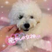 ヒメ日記 2025/11/13 15:18 投稿 小澤ゆな 月の真珠-新宿-