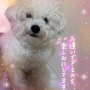 ヒメ日記 2025/11/18 10:20 投稿 小澤ゆな 月の真珠-新宿-