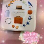 ヒメ日記 2025/11/19 12:58 投稿 小澤ゆな 月の真珠-新宿-