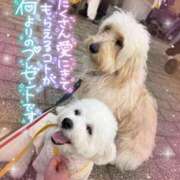 ヒメ日記 2025/11/26 16:18 投稿 小澤ゆな 月の真珠-新宿-