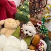 ヒメ日記 2025/12/06 13:08 投稿 小澤ゆな 月の真珠-新宿-