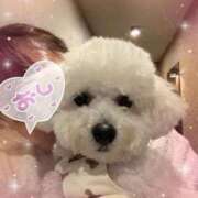 ヒメ日記 2025/12/18 10:35 投稿 小澤ゆな 月の真珠-新宿-