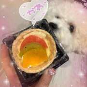 ヒメ日記 2025/12/24 22:08 投稿 小澤ゆな 月の真珠-新宿-