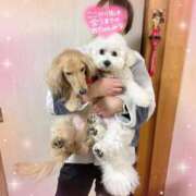 ヒメ日記 2026/01/01 22:48 投稿 小澤ゆな 月の真珠-新宿-