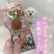 ヒメ日記 2026/01/03 09:38 投稿 小澤ゆな 月の真珠-新宿-