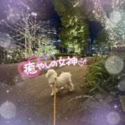 ヒメ日記 2026/01/24 23:18 投稿 小澤ゆな 月の真珠-新宿-