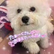 ヒメ日記 2026/02/21 13:08 投稿 小澤ゆな 月の真珠-新宿-