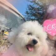 ヒメ日記 2026/02/28 22:32 投稿 小澤ゆな 月の真珠-新宿-