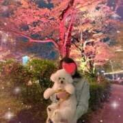 ヒメ日記 2026/04/11 00:28 投稿 小澤ゆな 月の真珠-新宿-