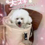 ヒメ日記 2026/04/16 17:31 投稿 小澤ゆな 月の真珠-新宿-