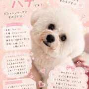 ヒメ日記 2026/04/23 21:28 投稿 小澤ゆな 月の真珠-新宿-