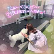 ヒメ日記 2026/05/12 13:48 投稿 小澤ゆな 月の真珠-新宿-