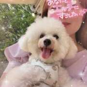 ヒメ日記 2026/05/20 22:38 投稿 小澤ゆな 月の真珠-新宿-