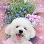 ヒメ日記 2026/06/14 22:20 投稿 小澤ゆな 月の真珠-新宿-