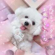 小澤ゆな 頑張るあなたを癒したい💋💋 月の真珠-新宿-