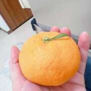 サラサ ♡朝活♡ バニーコレクション秋田店